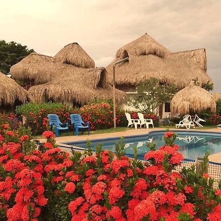 Palomino Breeze Hostal Bagian luar foto