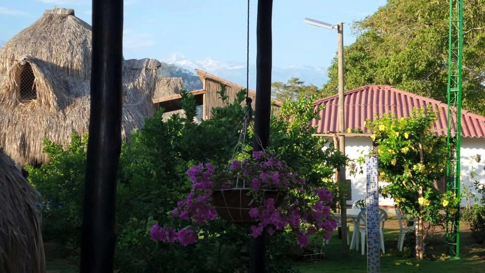 Palomino Breeze Hostal Bagian luar foto